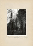 EP - Ewidencja parkowa, skan nr 16