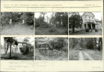 Karta biała, skan nr 9