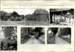 Karta biała, skan nr 11