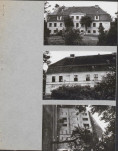 Karta zielona, skan nr 3