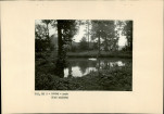 Ewidencja parkowa, skan nr 19