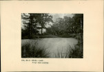 Ewidencja parkowa, skan nr 20