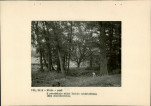 Ewidencja parkowa, skan nr 22