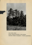 EP - Ewidencja parkowa, skan nr 23