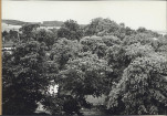 EP - Ewidencja parkowa, skan nr 22