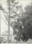 EP - Ewidencja parkowa, skan nr 34