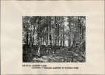 EP - Ewidencja parkowa, skan nr 21