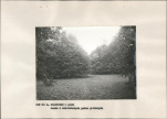EP - Ewidencja parkowa, skan nr 22