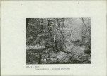 Ewidencja parkowa, skan nr 15