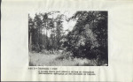 EP - Ewidencja parkowa, skan nr 14