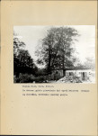 EP - Ewidencja parkowa, skan nr 29