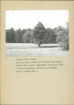 EP - Ewidencja parkowa, skan nr 28