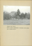 EP - Ewidencja parkowa, skan nr 29