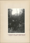 EP - Ewidencja parkowa, skan nr 20
