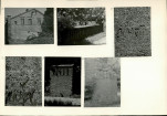 Karta biała, skan nr 8