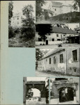 Karta zielona, skan nr 5