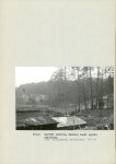 Ewidencja parkowa, skan nr 44