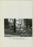 Ewidencja parkowa, skan nr 46