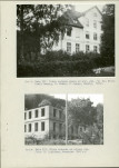 Ewidencja parkowa, skan nr 38