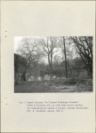 Ewidencja parkowa, skan nr 37