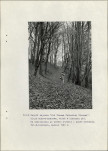 Ewidencja parkowa, skan nr 40