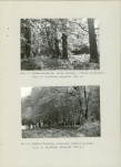 Ewidencja parkowa, skan nr 29