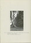Ewidencja parkowa, skan nr 30