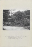 Ewidencja parkowa, skan nr 43