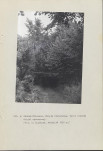 Ewidencja parkowa, skan nr 48