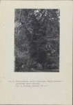 Ewidencja parkowa, skan nr 50