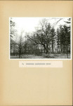 EP - Ewidencja parkowa, skan nr 40