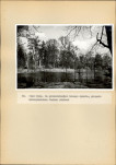 EP - Ewidencja parkowa, skan nr 42