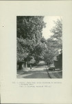 Ewidencja parkowa, skan nr 29