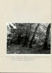 Ewidencja parkowa, skan nr 44