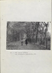 Ewidencja parkowa, skan nr 38
