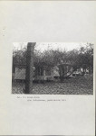 Ewidencja parkowa, skan nr 39