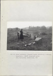 Ewidencja parkowa, skan nr 50