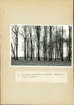 EP - Ewidencja parkowa, skan nr 41
