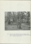 Ewidencja parkowa, skan nr 33