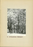 EP - Ewidencja parkowa, skan nr 18