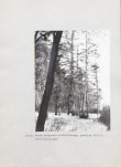 EP - Ewidencja parkowa, skan nr 46