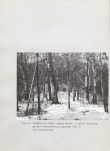EP - Ewidencja parkowa, skan nr 48