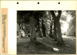 Ewidencja parkowa, skan nr 46