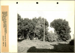 Ewidencja parkowa, skan nr 73
