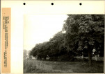 Ewidencja parkowa, skan nr 74