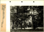 Ewidencja parkowa, skan nr 63