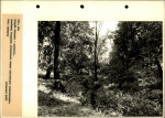 Ewidencja parkowa, skan nr 66