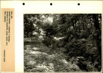 Ewidencja parkowa, skan nr 67