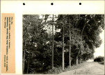Ewidencja parkowa, skan nr 72