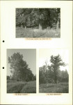 EP - Ewidencja parkowa, skan nr 23